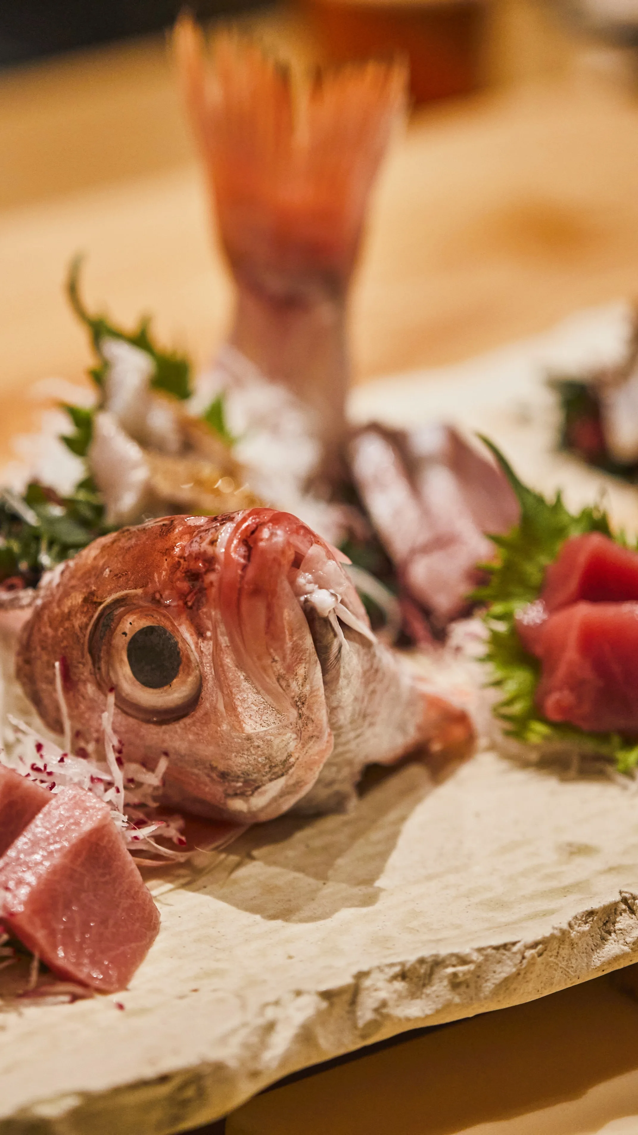 Modern Living Area Project